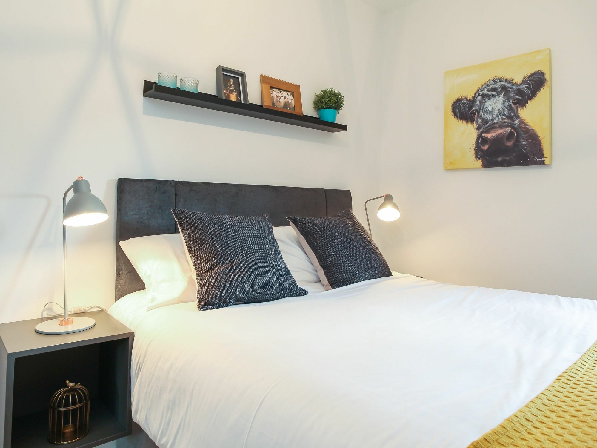 Central Belfast Apartments Camden Street Ngoại thất bức ảnh